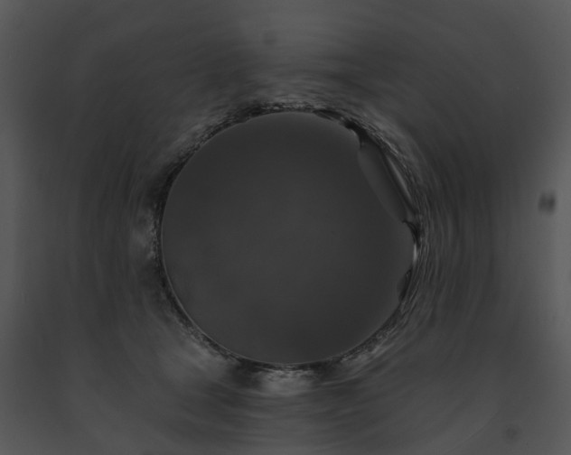 X0000091690465200708301544