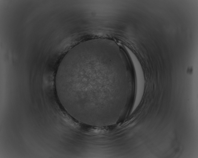 X0000091690466200708301544
