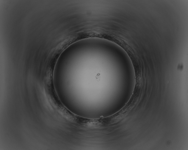 X0000091690468200708301544