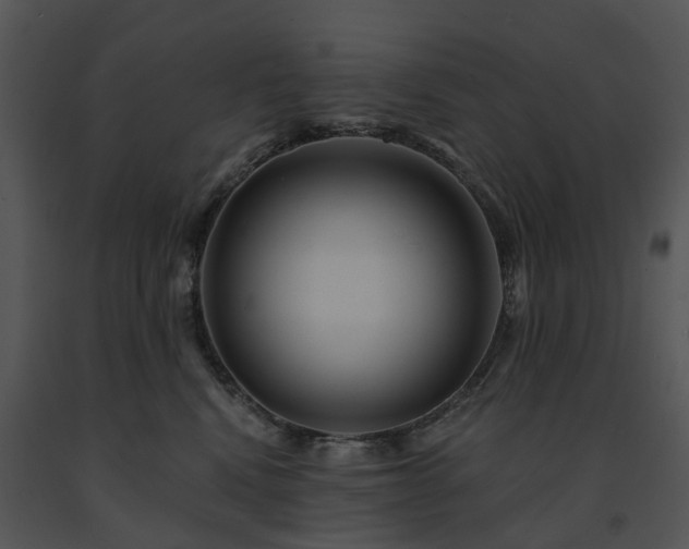 X0000091690472200708301544