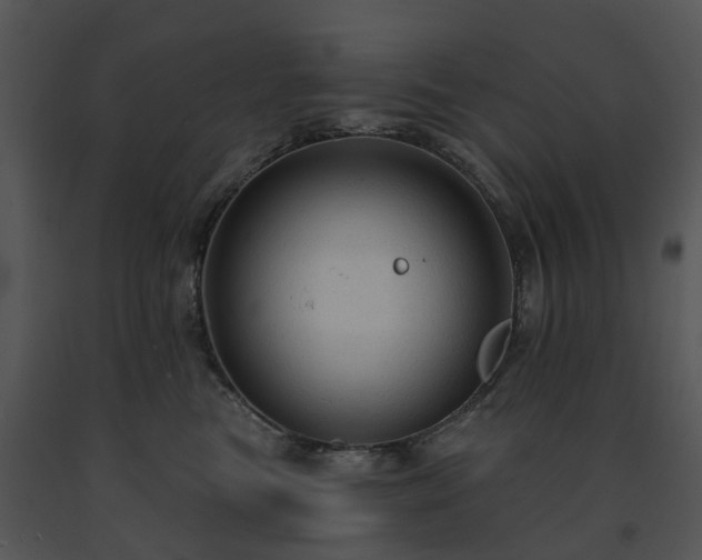 X0000091690473200708301544