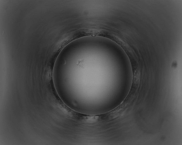 X0000091690474200708301544