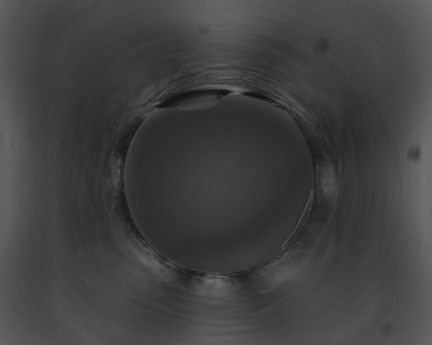 X0000091690475200708301544