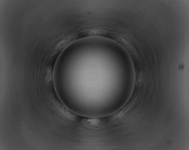 X0000091690478200708301544