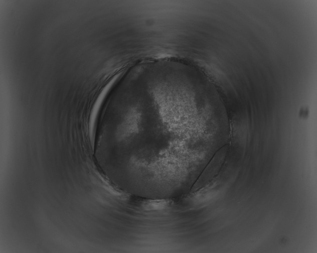 X0000091690479200708301544