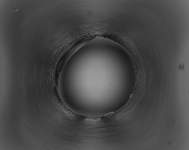X0000091690480200708301544