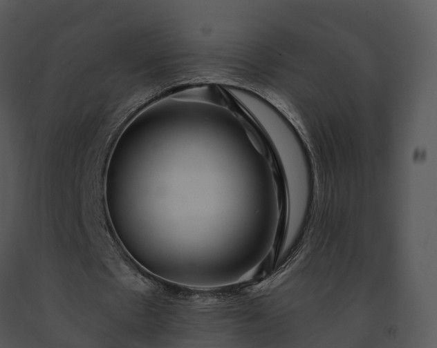X0000091690481200708301543