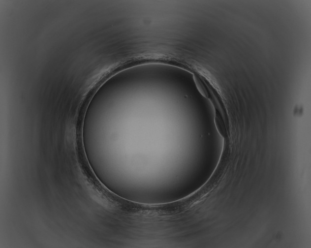 X0000091690482200708301543