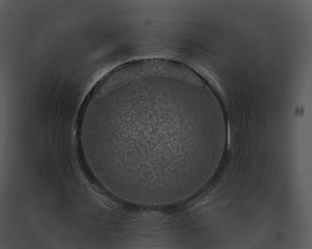 X0000091690483200708301543