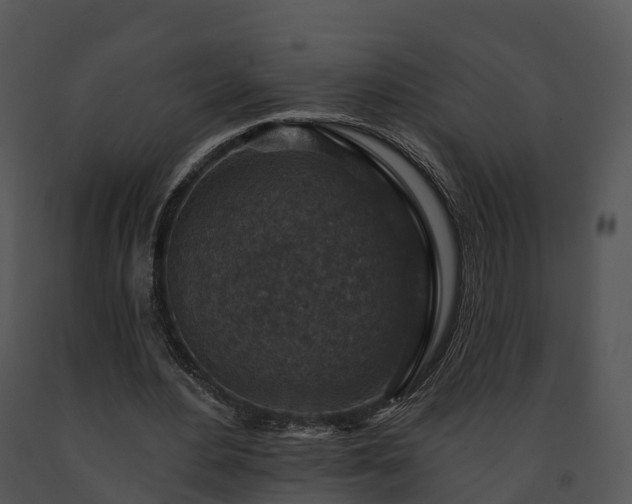X0000091690484200708301543