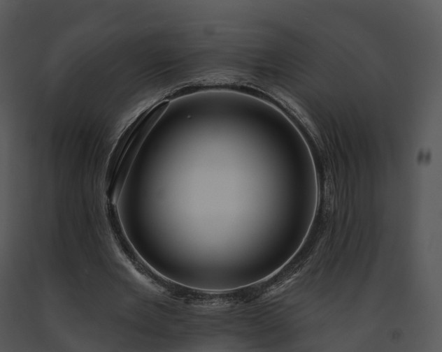 X0000091690485200708301543