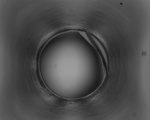 X0000091690486200708301543