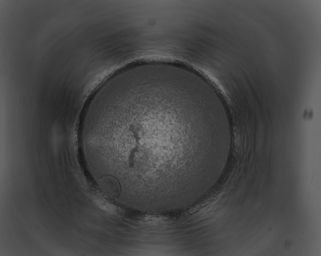 X0000091690487200708301543