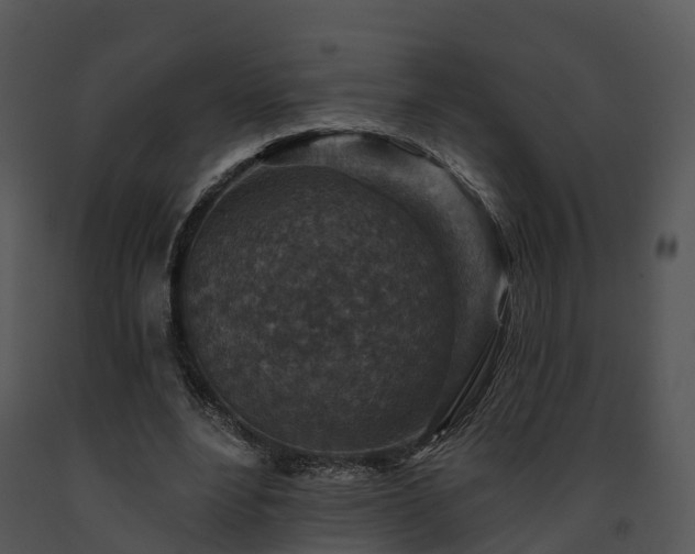 X0000091690488200708301543