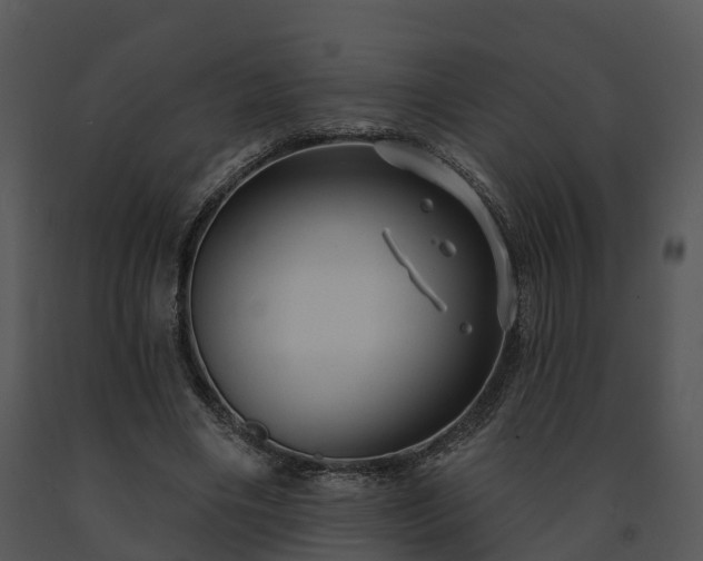X0000091690490200708301543