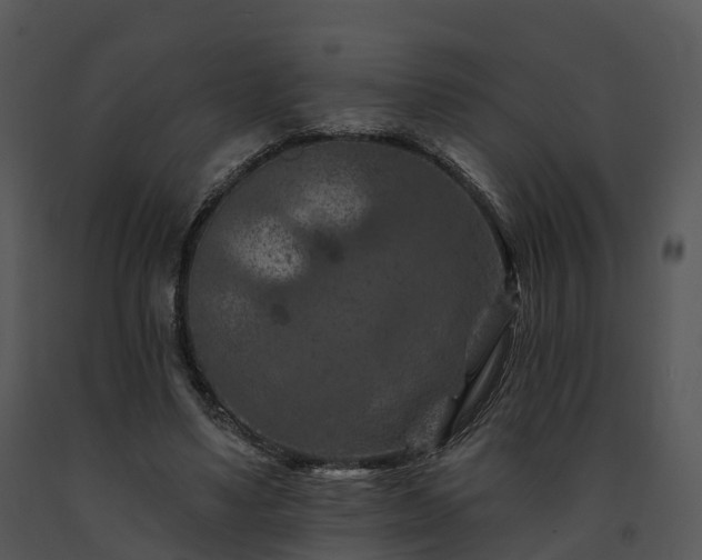 X0000091690491200708301543
