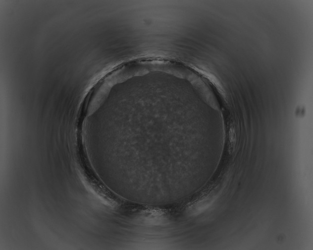 X0000091690492200708301543