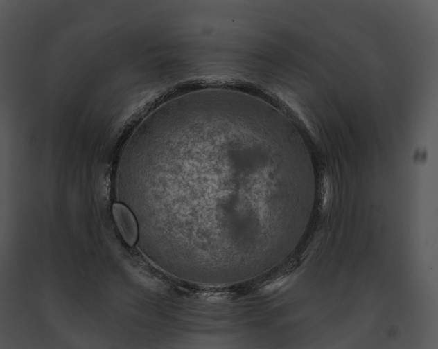 X0000091690495200708301543