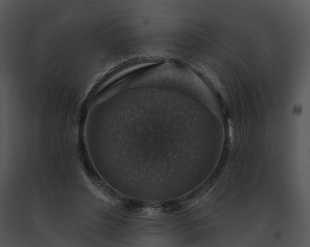 X0000091690496200708301543