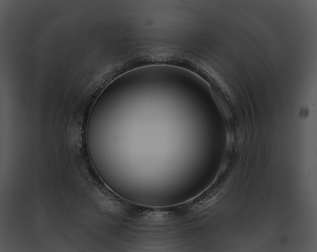 X0000091690497200708301543