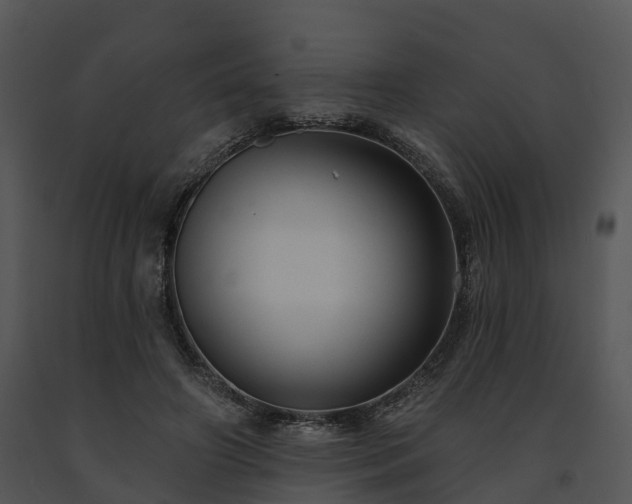 X0000091690498200708301543