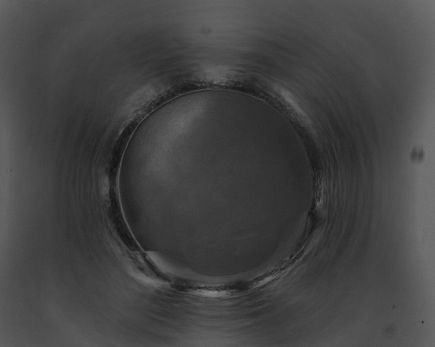 X0000091690500200708301543