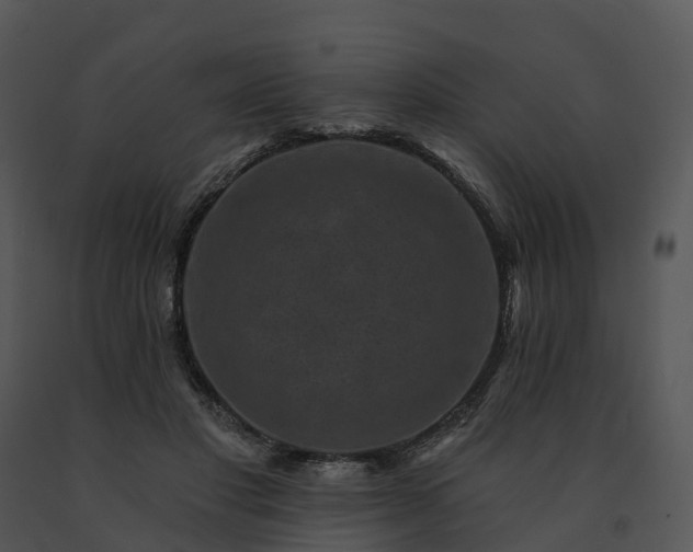 X0000091690501200708301543