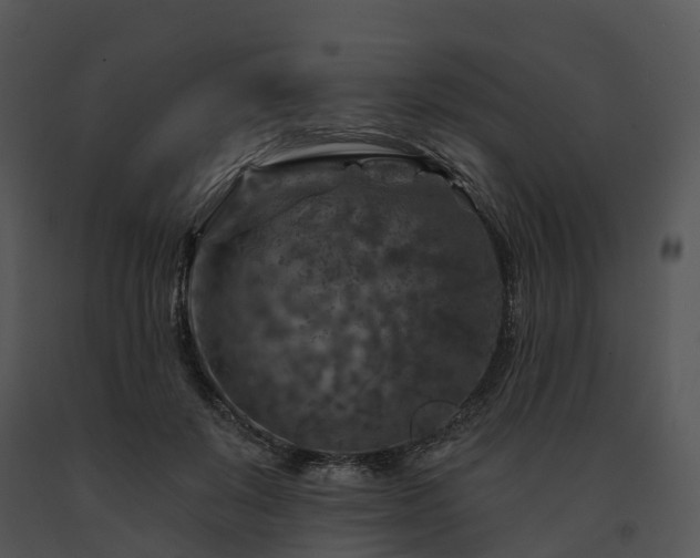 X0000091690503200708301543