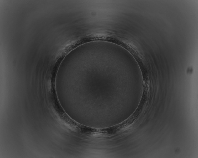X0000091690504200708301543