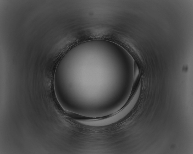 X0000091690505200708301543