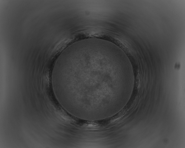 X0000091690506200708301543