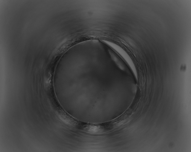 X0000091690507200708301543