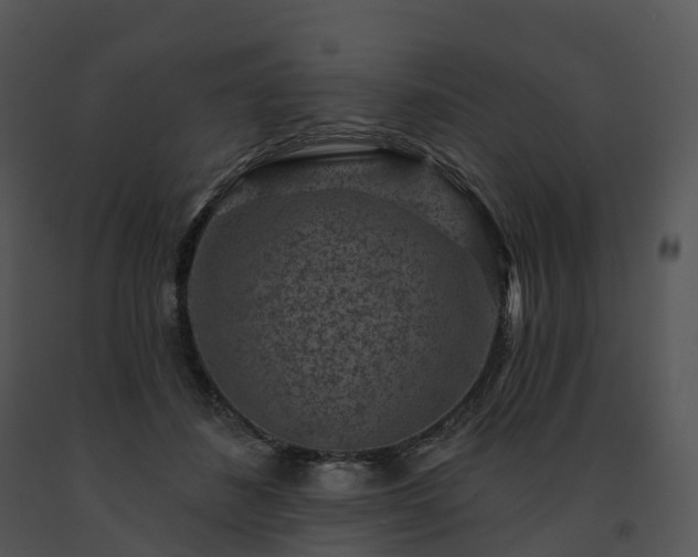 X0000091690508200708301543