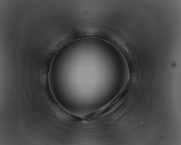 X0000091690509200708301543