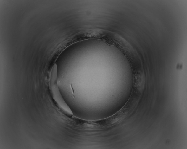 X0000091690510200708301543