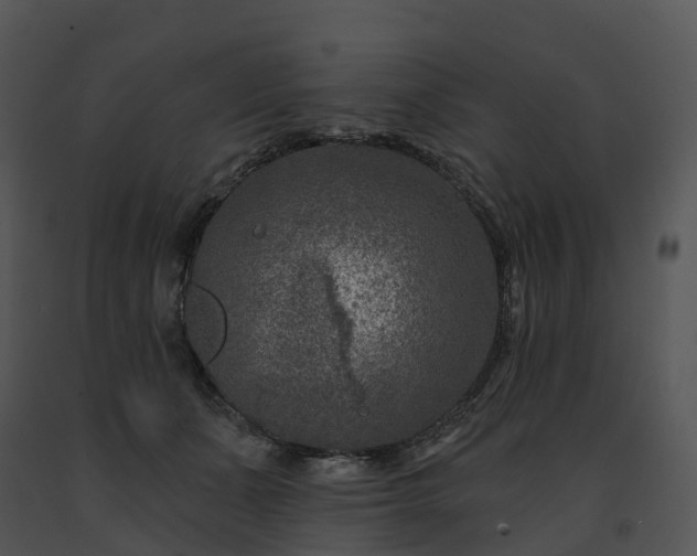 X0000091690511200708301543