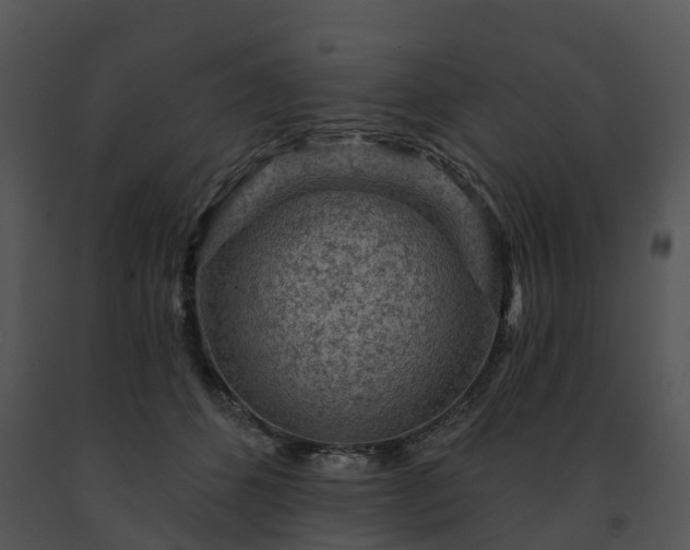 X0000091690512200708301543