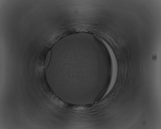 X0000091690513200708301543