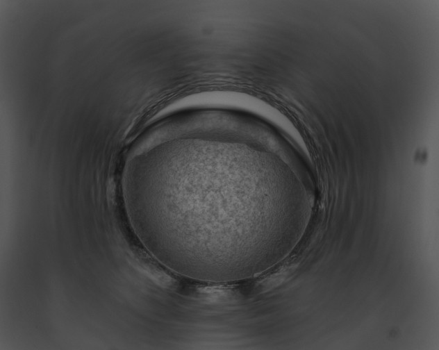 X0000091690516200708301543