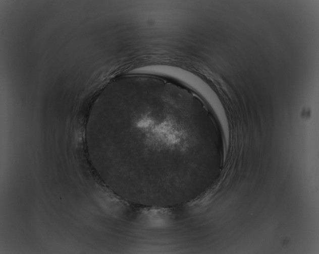 X0000091690517200708301543