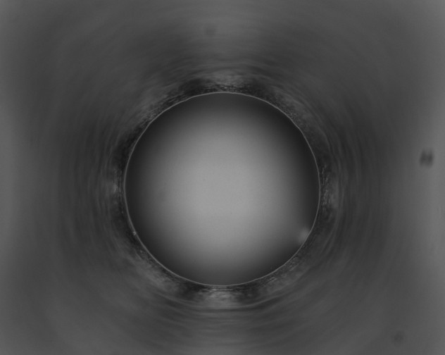 X0000091690518200708301543