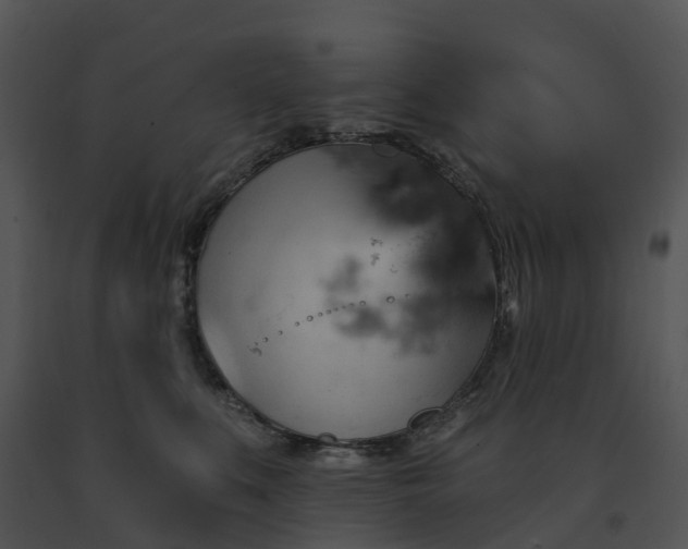 X0000091690519200708301543