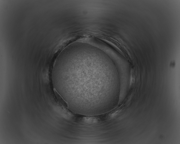 X0000091690520200708301543