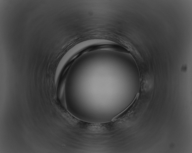 X0000091690521200708301543