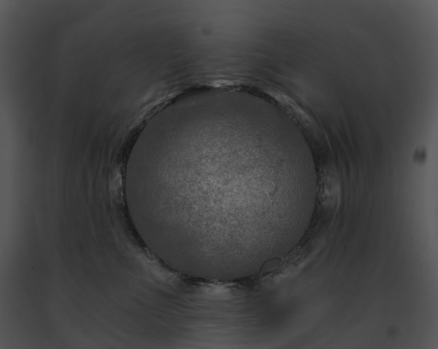 X0000091690523200708301543