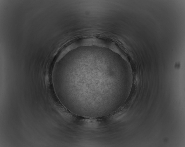 X0000091690524200708301543