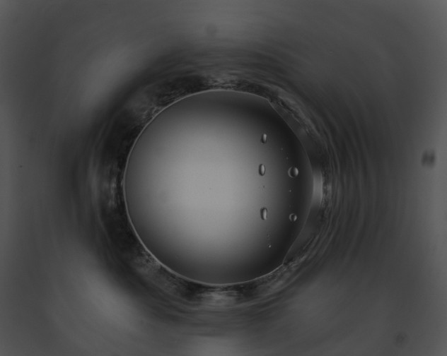 X0000091690525200708301543