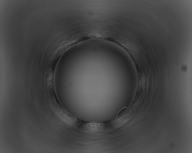 X0000091690526200708301543