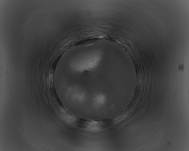 X0000091690527200708301543