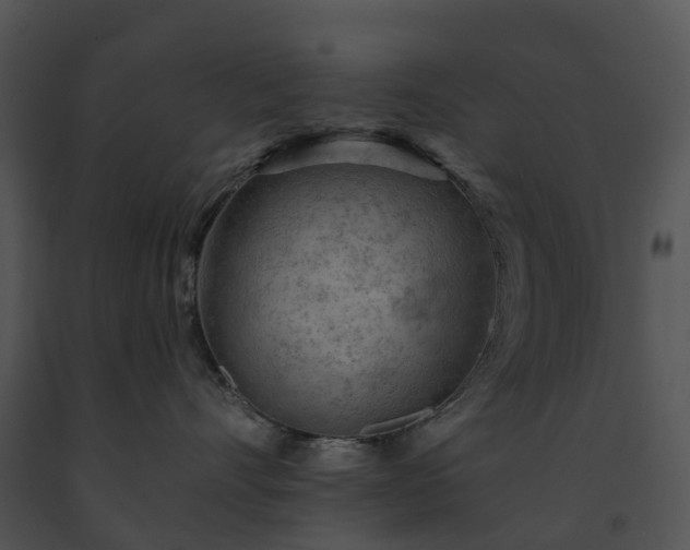 X0000091690528200708301543